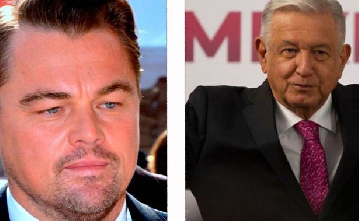 Leonardo Dicaprio arremetió contra AMLO por quitar protección a la Vaquita  Marina - Contrapeso